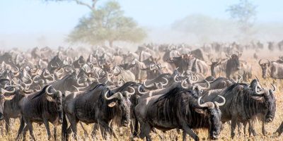 Ngorongoro-Crater-Visit-2